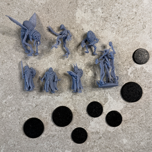 VOIDBIRTH Minitaures Set